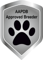 AAPDB Member